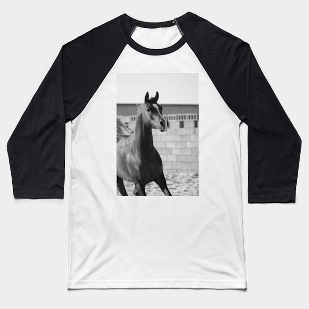 Arabian horse Baseball T-Shirt by KanysDenti